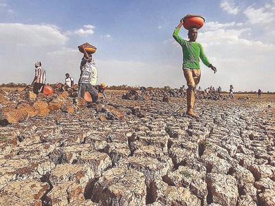 85% of Maharashtra declared drought-hit; farmers to get Rs 5,000 aid before Diwali