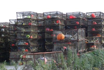 Fisherman Who Voted for Trump Three Times Says He'd Switch as Costs and Canada Trade Fight Squeeze Industry