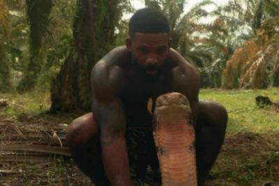 Animal Influencer Tarzan Accused of Animal Abuse After Wrestling Python in Viral Video