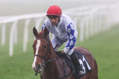 Jockey hit with 10-day suspension for riding 'without sufficient vigour'