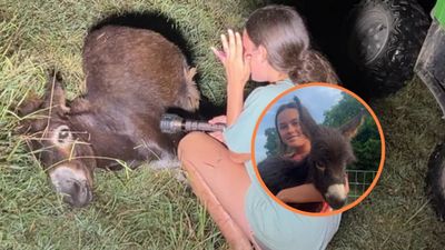 Georgia bodycam footage reveals truth of beloved baby donkey shot to death after ‘charging’ at cops