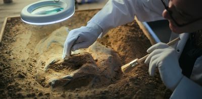 Animal life may be far older than its most ancient fossils – here’s how we uncovered its hidden history