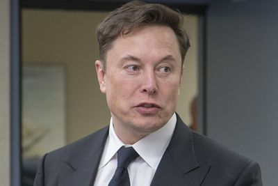 Federal Judge Tears Into Elon Musk After Defining His Accusation as 'State Sanctioned Intimidation'