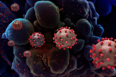 UK COVID Cases Rise as XFG 'American Covid' Variant Spreads in Hospitals