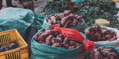 One third of food is lost or wasted: how to help farmers cut post-harvest losses