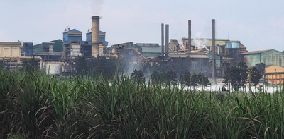 Uganda’s sugarcane boom leaves families hungry: what needs to change