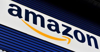 Greens call for new 'Amazon tax' on online retail giants' 'obscene profits'