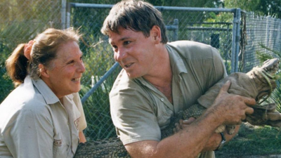 Steve Irwin and Terri turned an avocado shed into a hospital for 136,000 animals