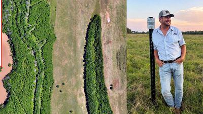 Louisiana landowner turns 300 flood-prone acres into a wildlife corridor