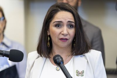 Delia Ramirez Introduces Bill to Abolish ICE, CBP and DHS Weeks Before Election Day