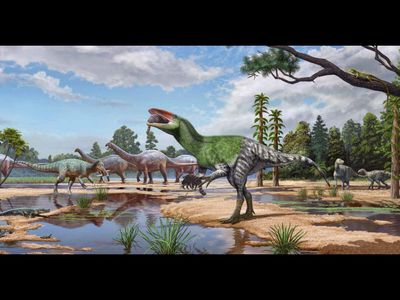 In 1924, an amateur palaeontologist found a fossil in the UK that remained unstudied for years. Now a century later, scientists say it's a new dinosaur species