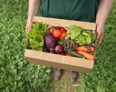 Plan unveiled to increase share of land farmed organically in England to 10%
