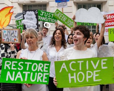 For the future of green politics, look beyond the Green party