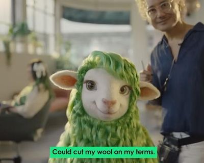 ‘Like, really, really shocked’: why are so many people riffing on this sheep’s sex appeal?