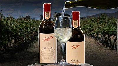 Penfolds owner in no rush to sell discount labels