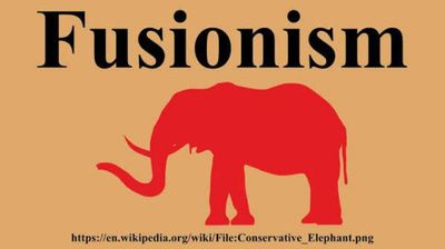 Fusionism and its Limits