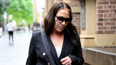 Pitbull, Kardashian: cop chased celebs before killings