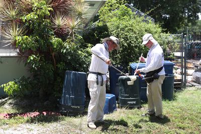 Hawaii Confirms Ninth Travel-Related Dengue Case of 2026 on Oahu as Mosquito Control Teams Target Affected Area