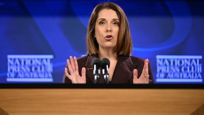Labor defends power to deploy online 'sock puppets'