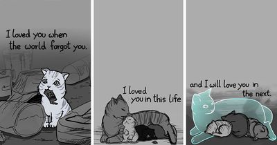 Artist Jenny-Jinya Returns With 7 New Animal Stories That Will Tug At Your Heartstrings