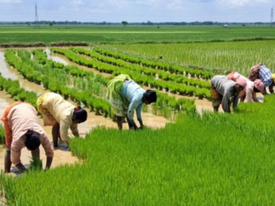 How India's agricultural damage flags gap between climate warnings and adaptation finance ahead of COP31
