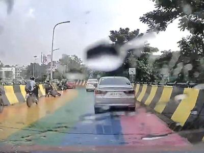 How painted road art during Durga Puja in Kolkata has created a slippery controversy in West Bengal