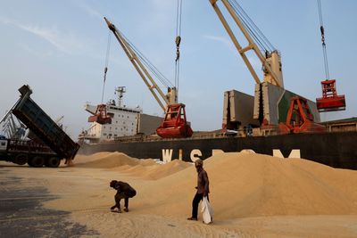 India customs scrutiny diverts Niger soybeans to Asia at steep discounts, sources say