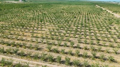 Water scarcity and costly imports threaten food security in landlocked countries