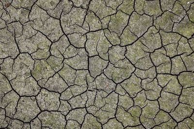 Parts of England in severe drought as water supplies ‘under immense pressure’