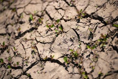The six regions of England where severe drought has been declared
