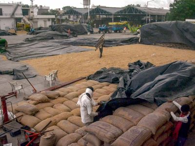 Haryana's paddy procurement crosses 15.52 LT, Rs 1,221 crore disbursed to farmers