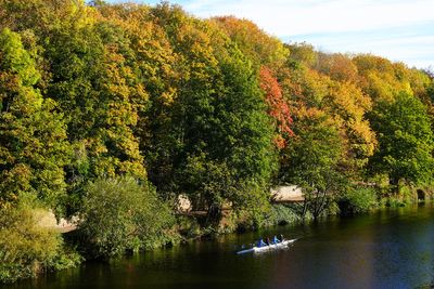 Temperatures to hit 22C before dropping with overnight frost forecast at weekend