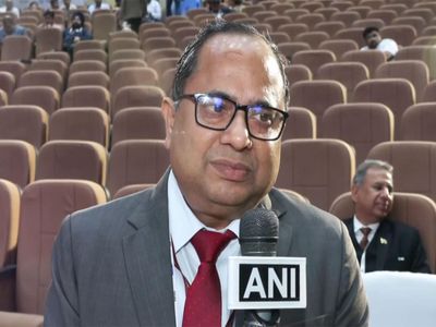 India's data-centre capacity may surge to 24-26 GW, impact on overall power demand to remain limited: CEA Chairman