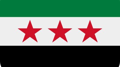 Syria Sentences Two to Death Over 1,426 Killings as Rights Group Warns Against 'Selective' Justice