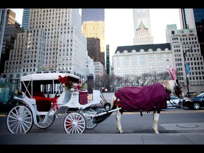 New York's Central Park horses work up to 9 hours a day and get 5 weeks of vacation. The city now wants to abolish the iconic carriages