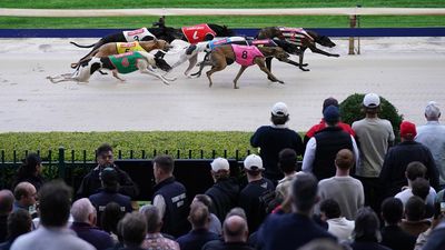 Gone to the dogs: thousands on track for final farewell
