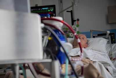 A Bacterium First Found in Soy Sauce Mash Infected a Man's Heart Valve, in What Doctors Call a First