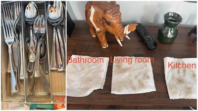 Michigan woman seeks $250 refund after $350 deep clean, claiming poor service and a missed re-clean