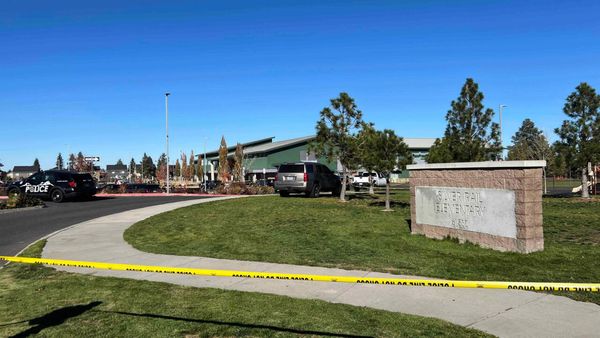 Teen shooter kills three children and teacher at Oregon elementary school