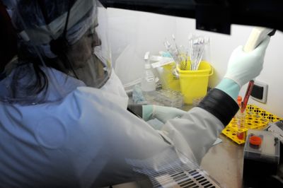 Licensed Ebola Vaccine Ervebo Triggered T Cells Against Bundibugyo in 13 of 20 Recipients, but Protection Remains Unproven