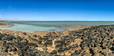 Earth’s oldest evidence of life is written in stone – but it’s at risk of disappearing