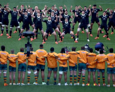 Wallabies seek to rediscover optimism after pain of Bledisloe Cup humbling