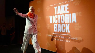 One Nation pitches pro-family policy amid abortion stir