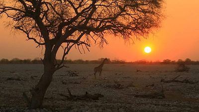 These are the world’s best destinations for ‘golden hour’, according to a meteorologist