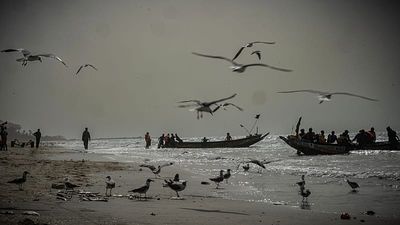 At least 12 dead after migrant boat sinks off Gambia