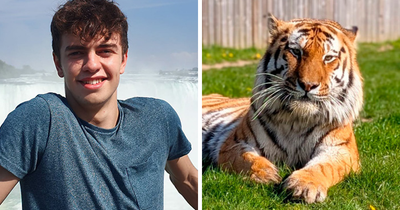 After His Mom’s Chilling Posts, Former Child Actor’s Cause Of Passing In Tiger Attack Revealed