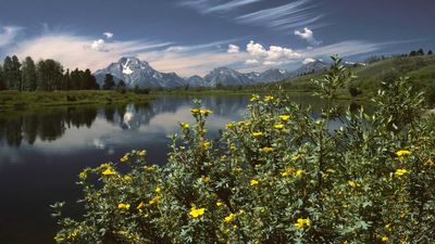 Grand Teton Habitat Restoration: Park converts hayfields; wildlife returns