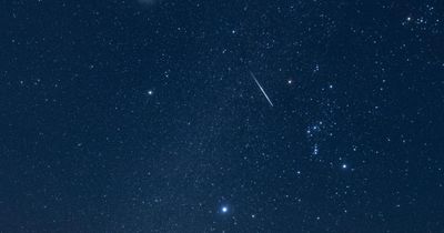 Dazzling meteor shower from rare comet to peak in the UK this week