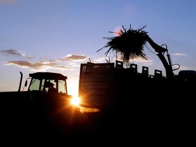 India sets zero sugar diversion for ethanol in 2026/27 tender