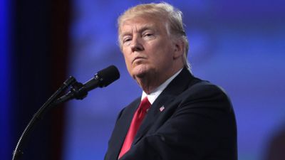 Donald Trump Appears to Have 'Totally Lost It' As His Behaviour Is Questioned by Viewers